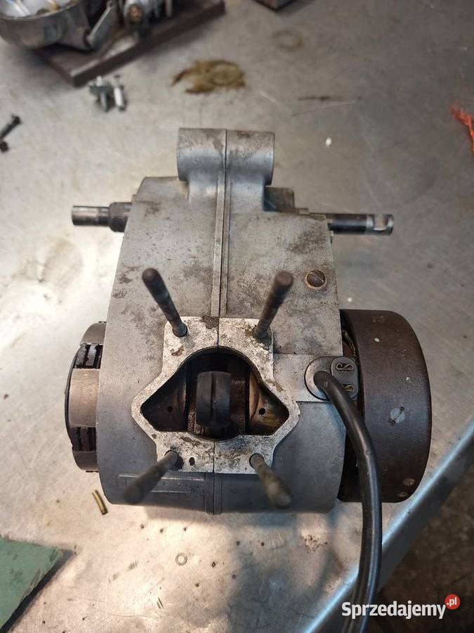 Komar sztywniak silnik S38 Krzywcza