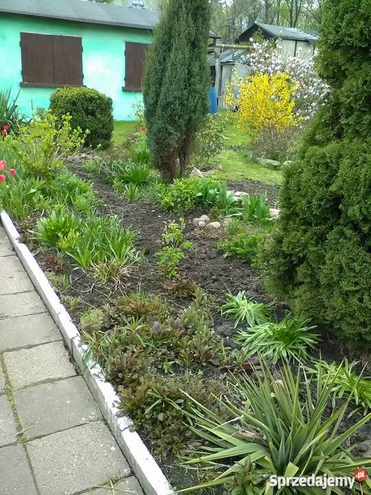 Sprzedam Ogródek działkowy Bytom Łagiewniki Rod