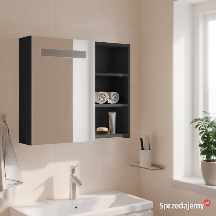 Szafka łazienkowa z lustrem i LED szara 60x13x52 Warszawa