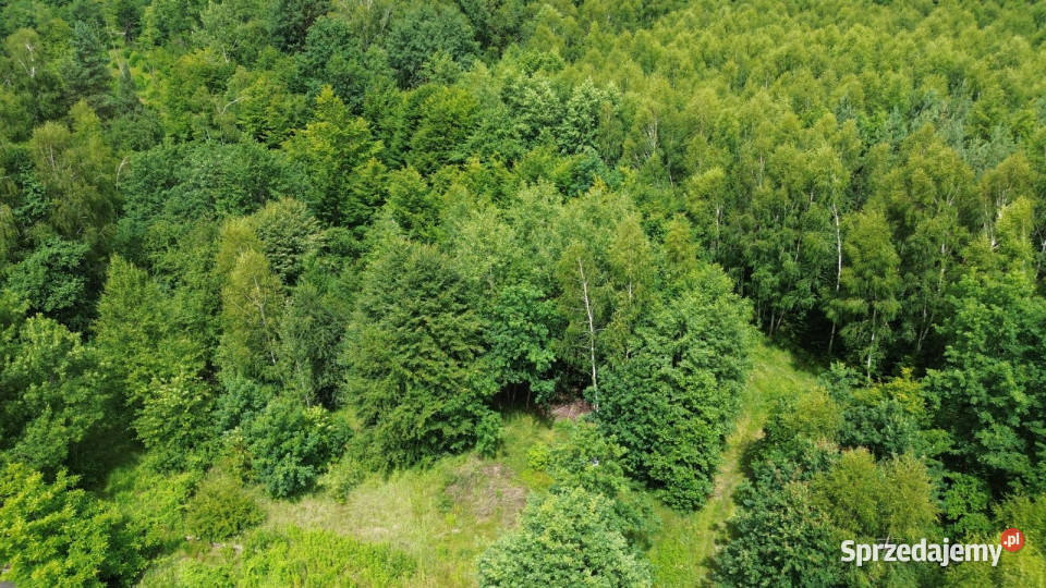 Grunt Stanisławów 21100m2