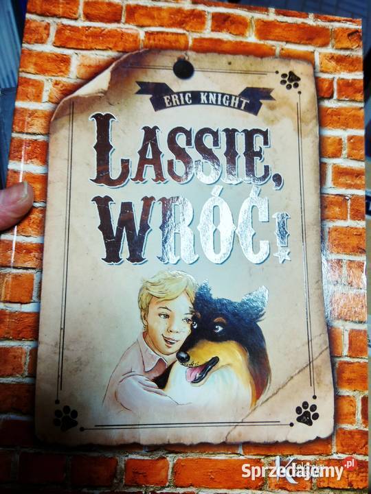 Lassie wróć ekskluzyw lektury szkolne outlet Warszawa