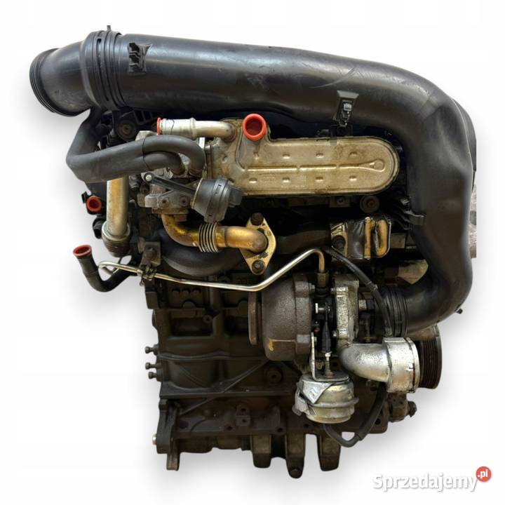 SILNIK BKP VW Passat B6 20 TDI 140 diesel lubelskie