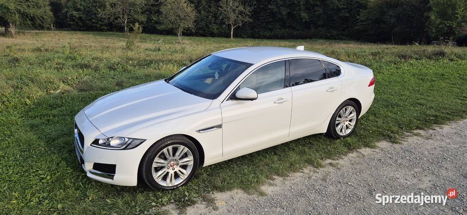 Jaguar XF 2016 20d Portfolio automatyczna Poręba Wielka