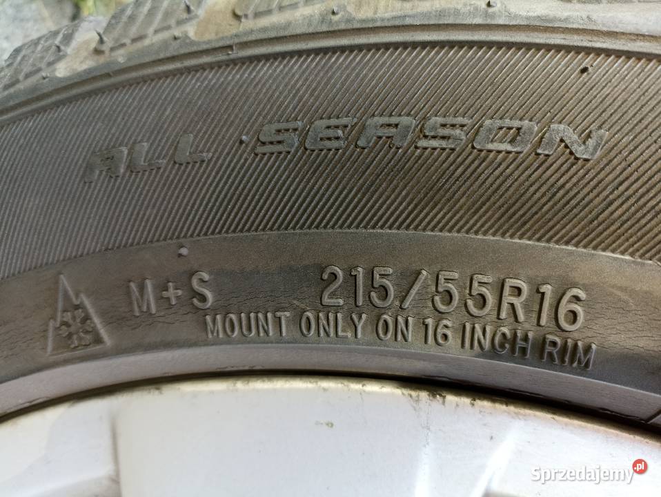 Całoroczne 215 55 16 grupa Cooper Tire Cooper Tychy