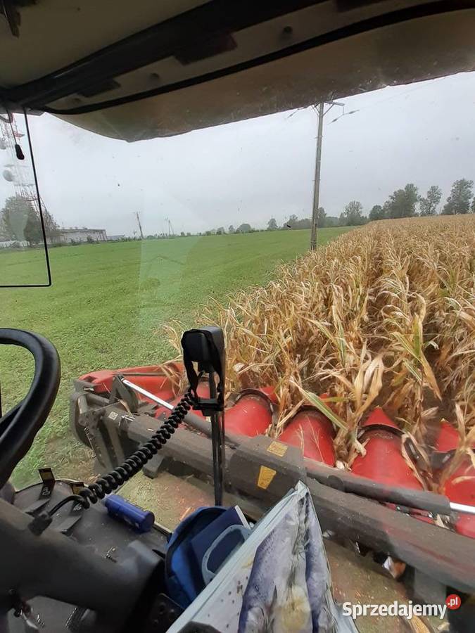 Usługi koszenia kukurydzy na ziarno agregat Kłopoty-Stanisławy sprzedam