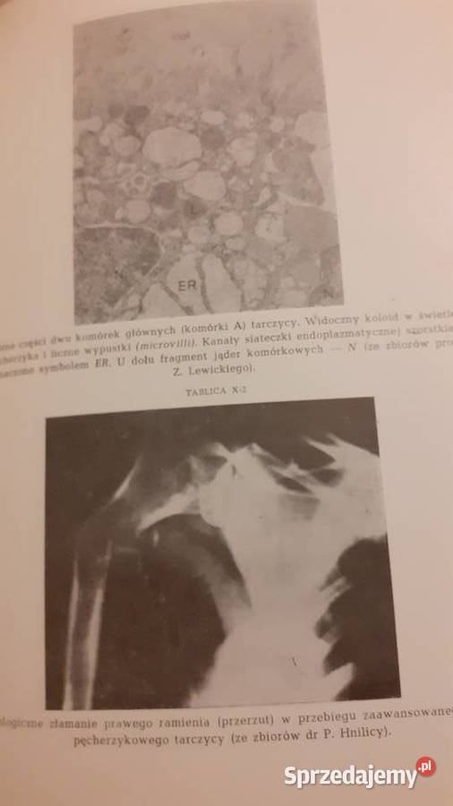 Choroby wewnetrzne Szczecin