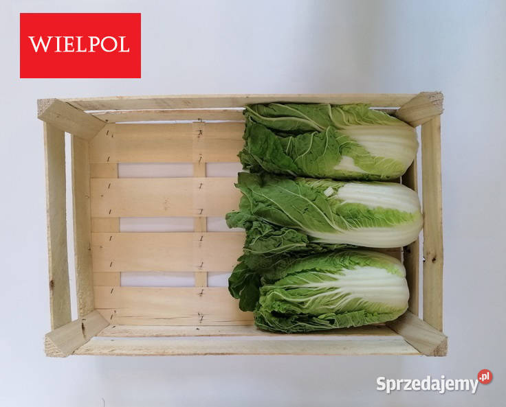 Sprzedam skrzynki drewniane z łuszczki wielkopolskie Wielichowo sprzedam