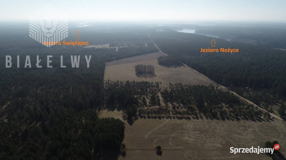 Działka Świętajno 2133m2 Sprzedaż warmińsko-mazurskie sprzedam