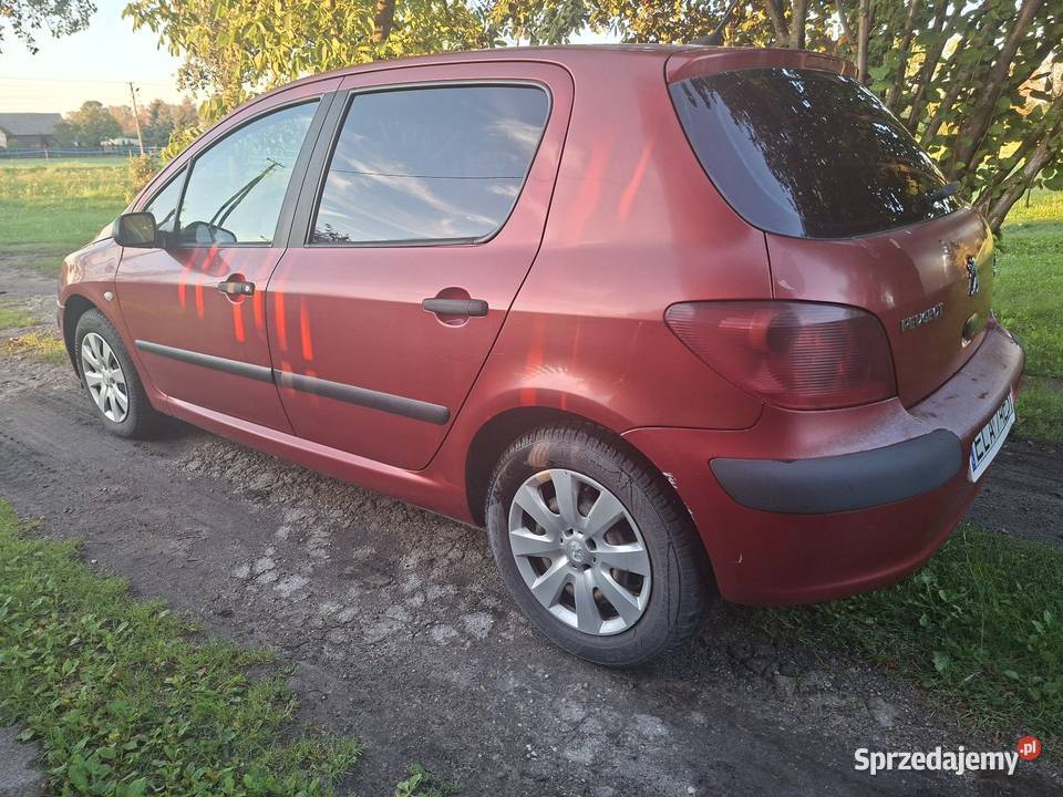 Peugeot 307 20HDI 2003 radio łódzkie Łask