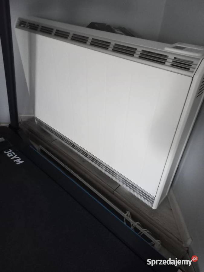 Sprzedam dwa piece akumulacyjne dynamiczne Ruda Śląska