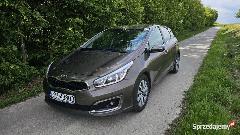 Kia Ceed 16 benzyna bezwypadkowy salon polska Zarejestrowany w Polsce Jawornik Polski