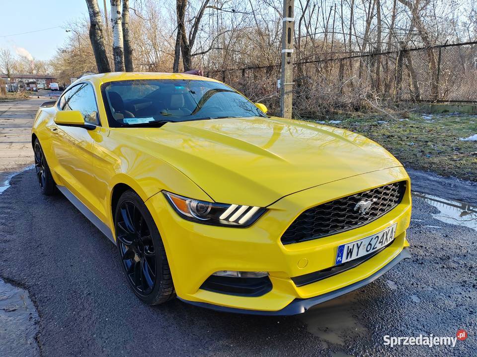Ford mustang 37 nieuszkodzony Warszawa sprzedam