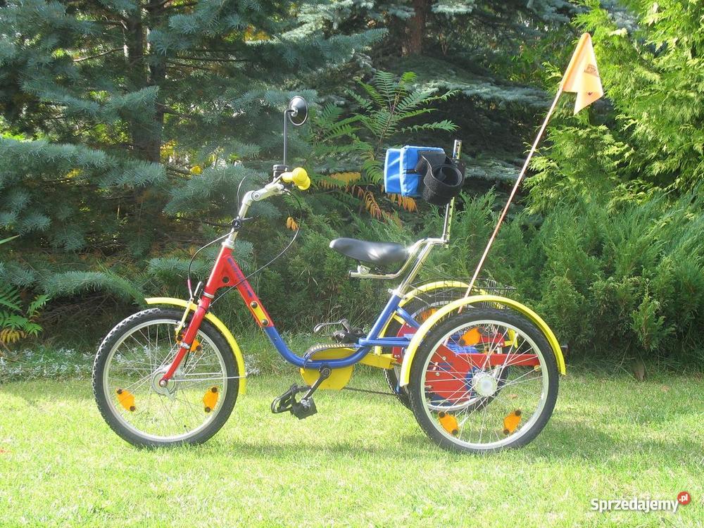 Rehabilitacyjny rower trójkołowy Draisin Śrem