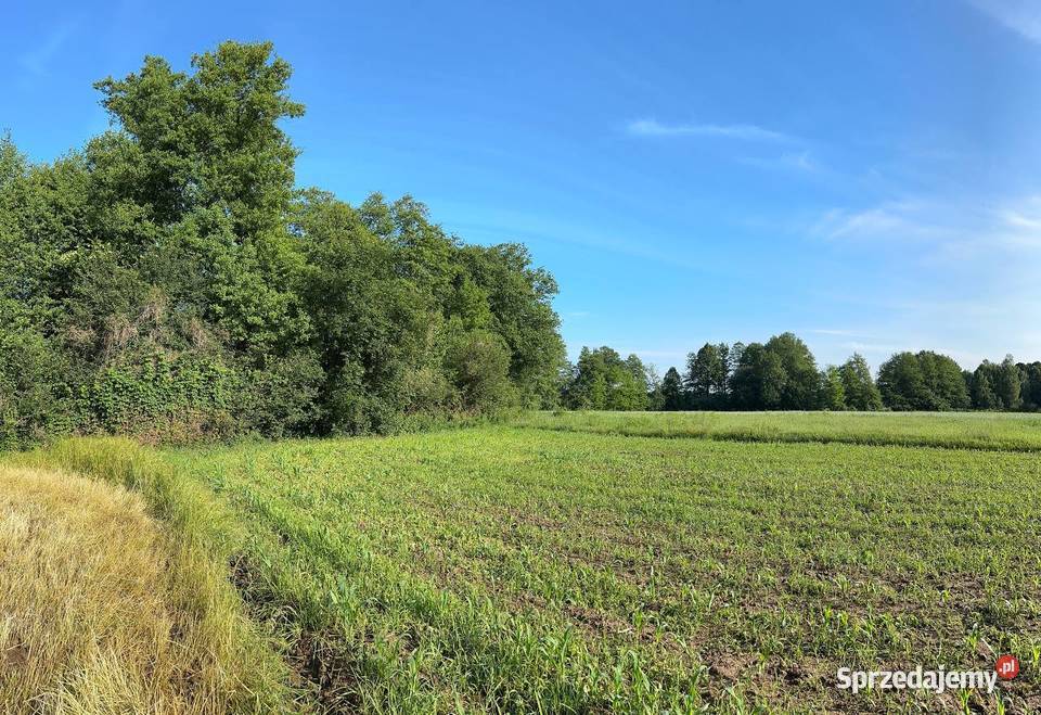 Działka z możliwością zabudowy Rudawica