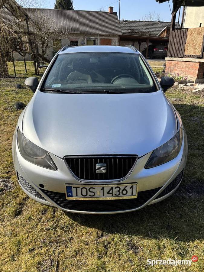 Seat Ibiza Wrzelowiec