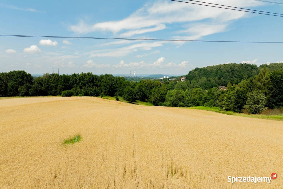 Działka rolna Radziszów gmina Skawina 47m Sprzedaż sprzedam