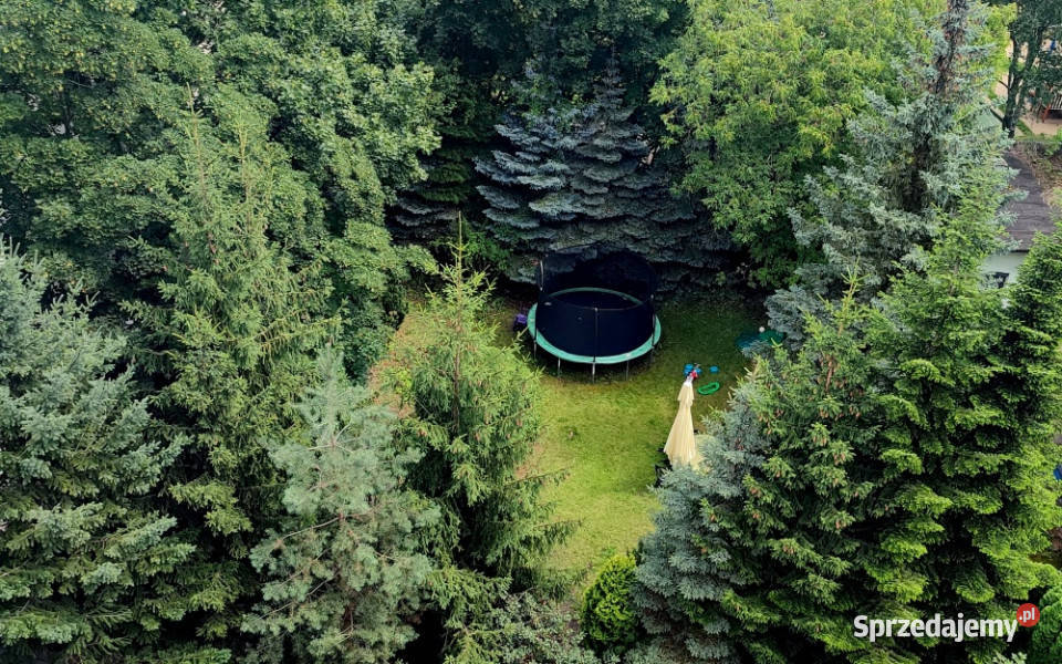 Klimatyczne mieszkanie 74m2 3 pokoje City Park 3 piętra i więcej Poznań
