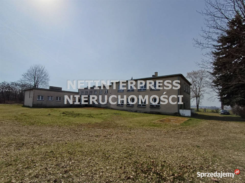 Lokal na sprzedaż 582 metry Domaszowice Sprzedaż