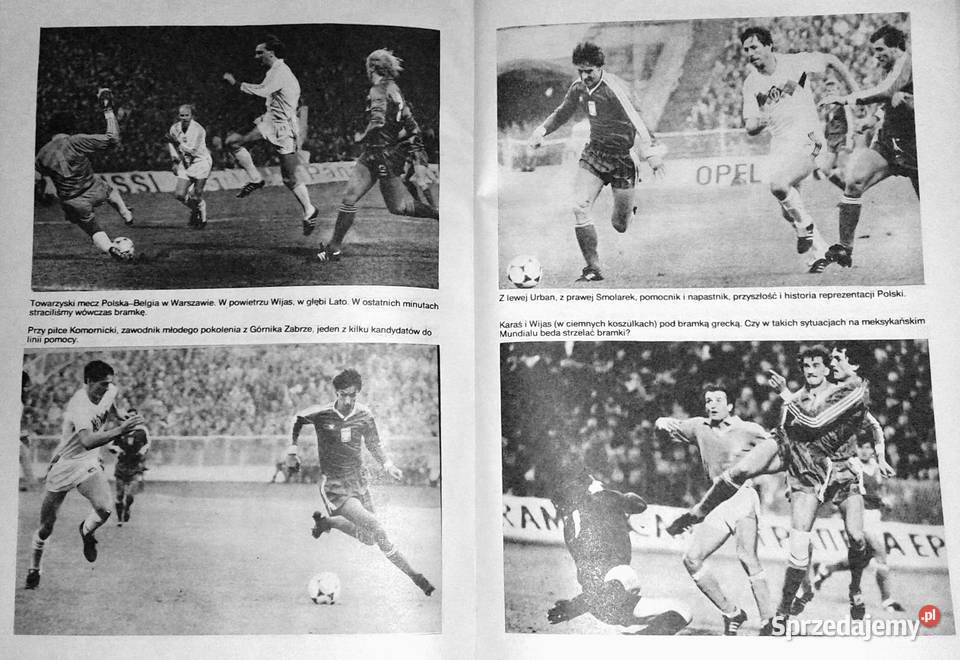 Droga do Meksyku Jerzy Lechowski Stefan Chełm sprzedam