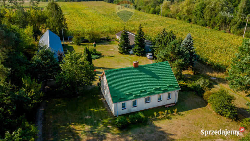 Siedlisko pod gosp ekologiczne hodowlę koni Bałki