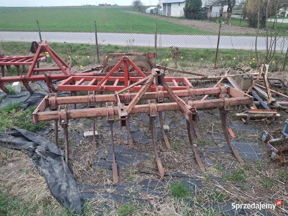 głębosz Chłaniówek