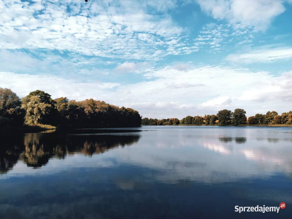 Działka jeziorem w powiecie rypińskim z linią Trąbin-Rumunki