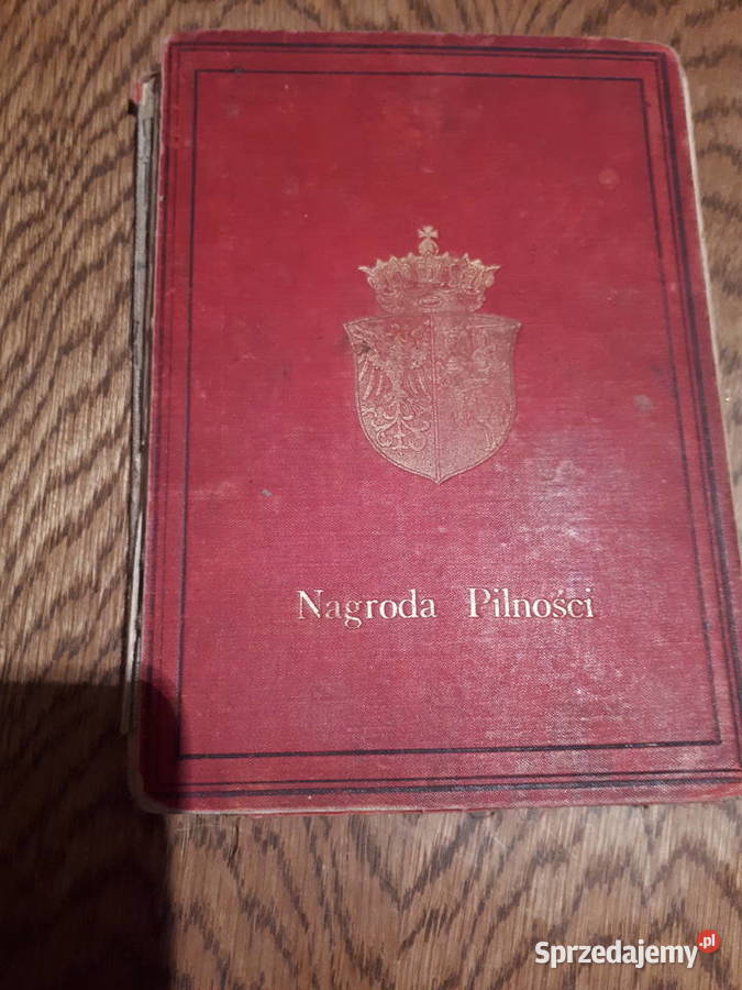 Dzieje Polski do najnowszych czasów Poznań 1895