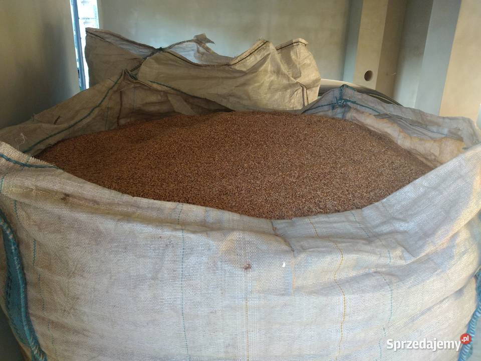 Sprzedam pszenice Kołbiel