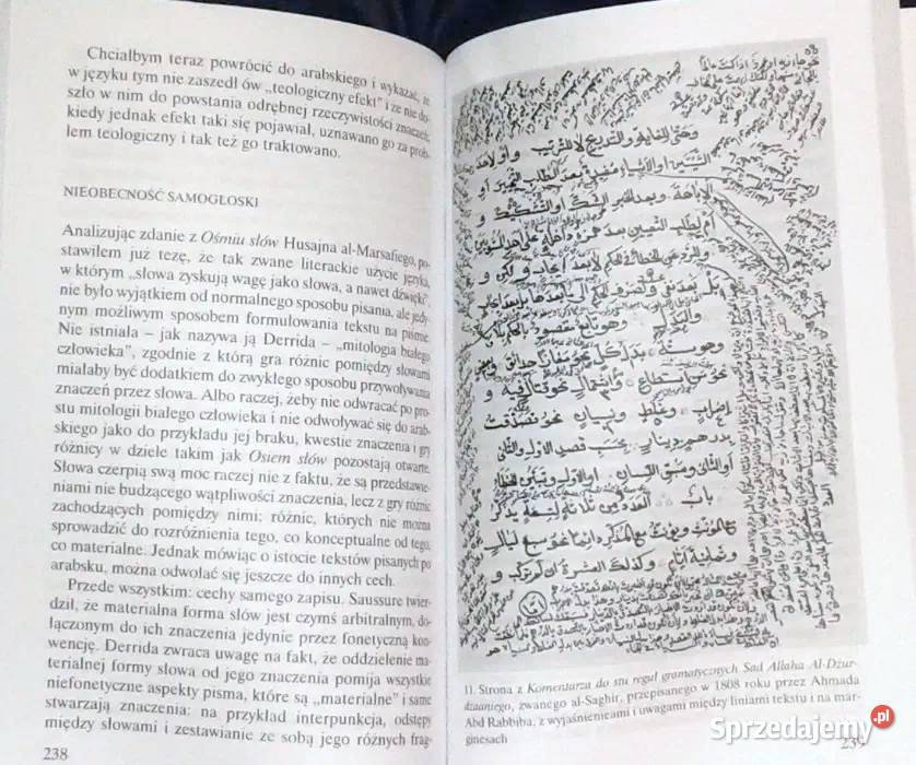 Egipt na wystawie świata Timothy Mitchell