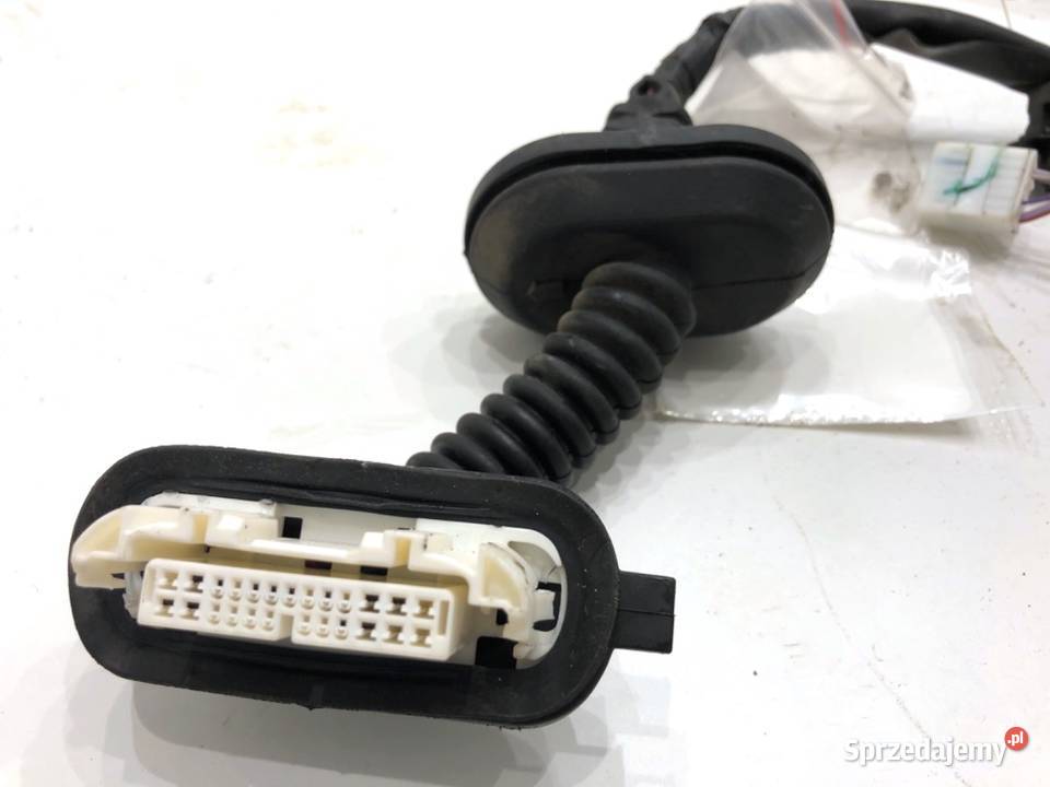 WIĄZKA DRZWI TYŁ PRAWY TOYOTA COROLLA E21 20 152 Drzwi