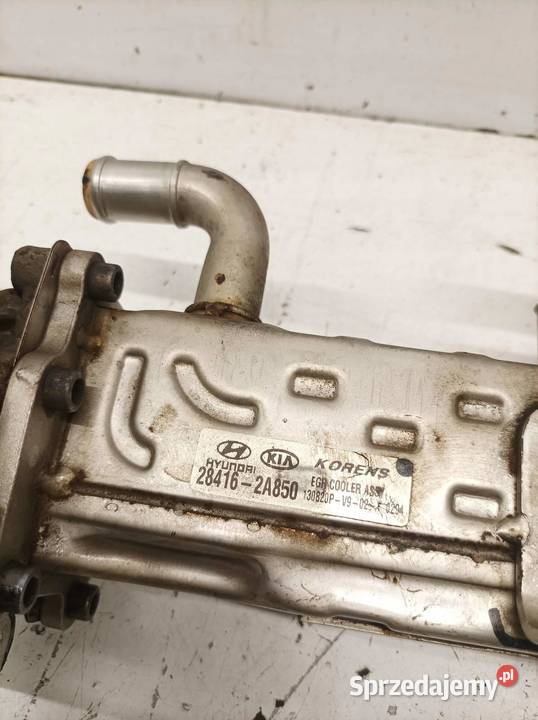 CHŁODNICA SPALIN 284162Q850 10 ECOBOOST Ford świętokrzyskie
