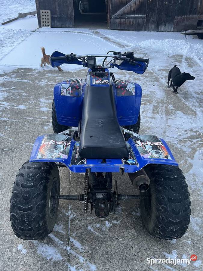 Yamaha Warrior 350 raptor 350cm3 Niecew