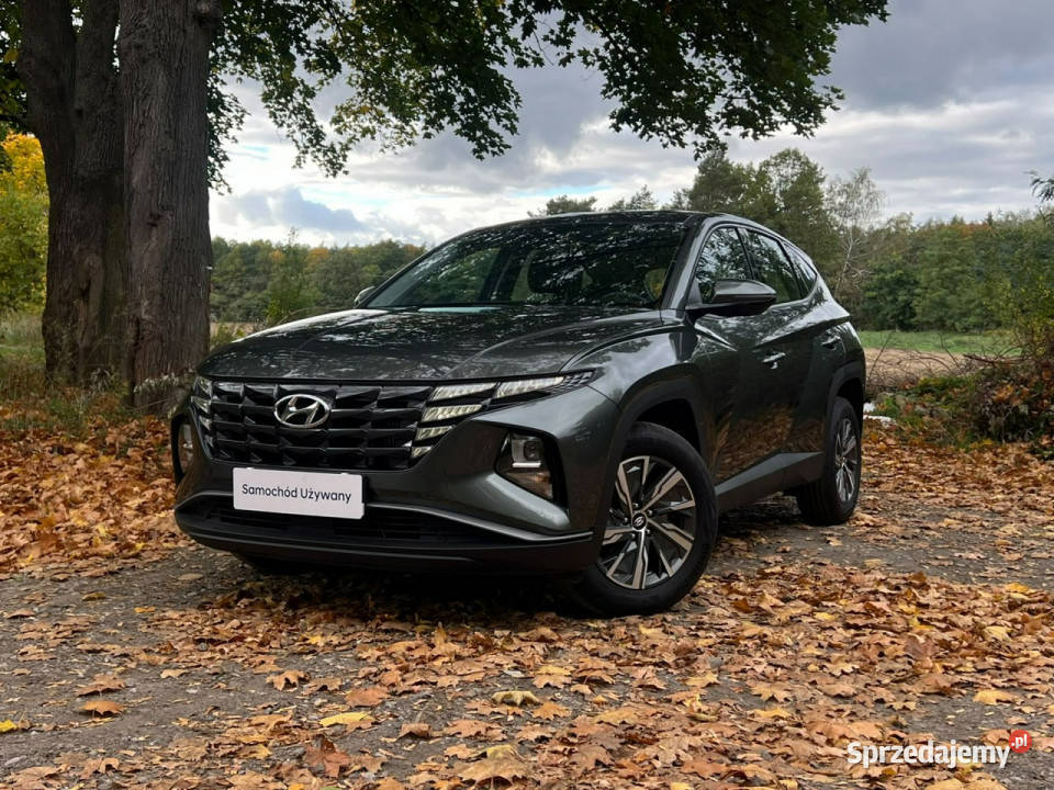 Hyundai Tucson 16TGDI 6MT 150 Modern Car Play łódzkie Piotrków Trybunalski