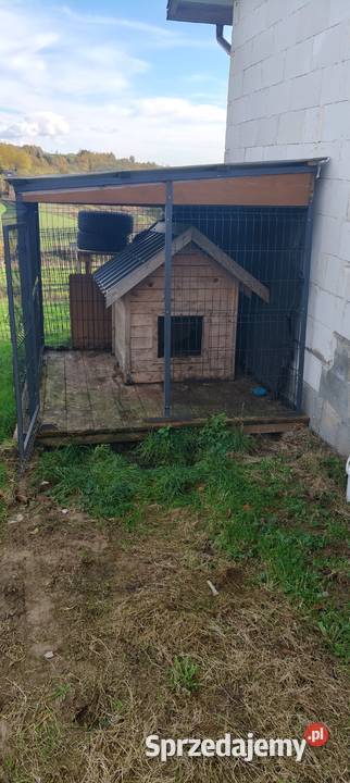 Kojec z budą na dużego psa Dla psów