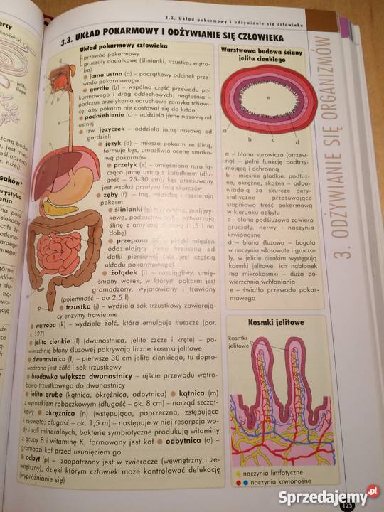 Biologia Vademecum Maturalne Operon Gdańsk