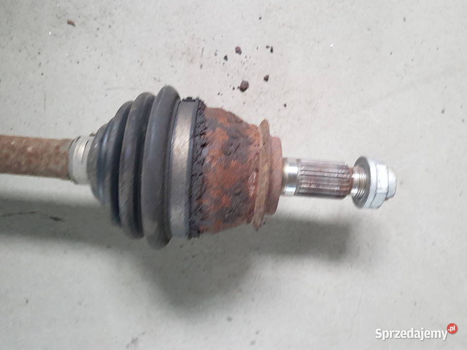 COOPER S WORKS R56 LIFT POLOS PRZEGUB PODPORA osobowe Turek