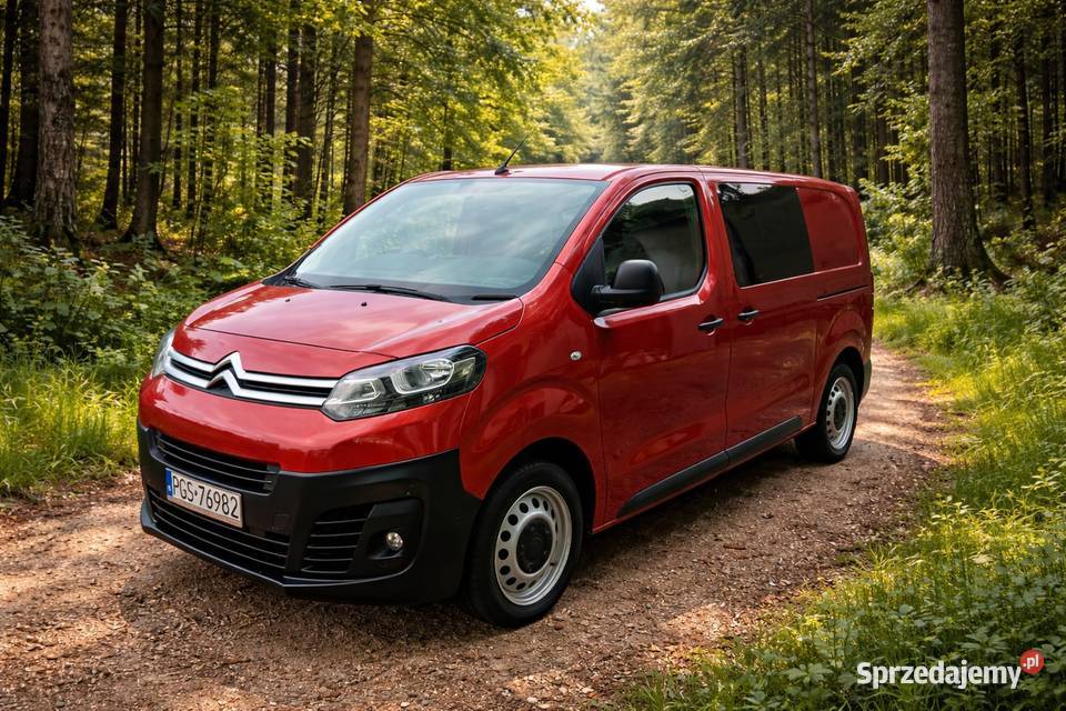 Citroen Jumpy 3 brygadowka Krobia