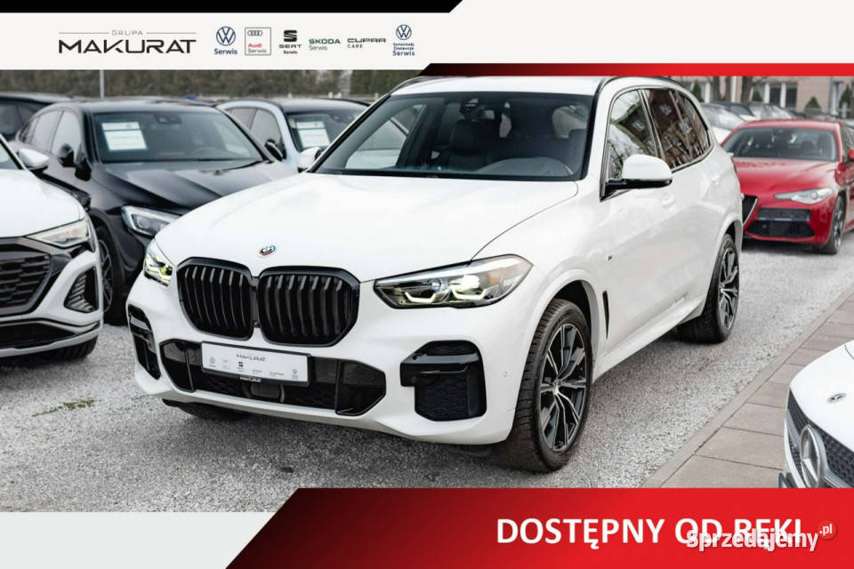 BMW X5 xDrive25d Podgrzf Ambient LED Salon VAT23 Zarejestrowany w Polsce sprzedam