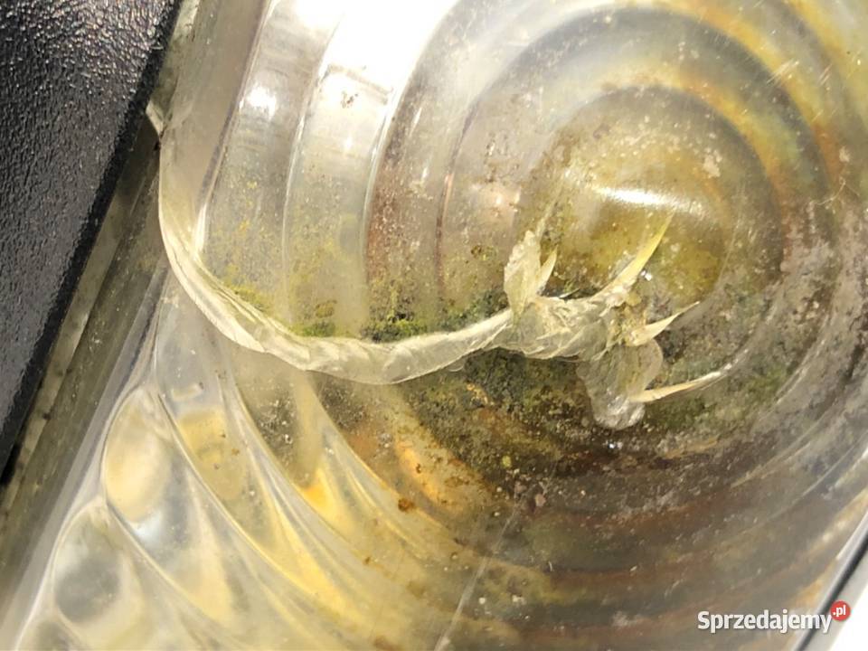 LUSTERKO PRAWY FIAT DOBLO II Van minibus