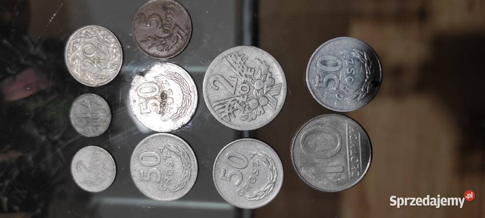 monety polskie i banknoty