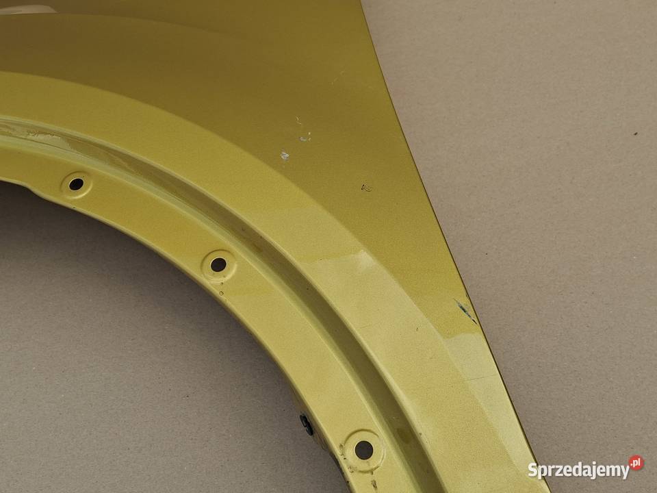 VW TROC 2GA BŁOTNIK LEWY PRZÓD OSŁONA lubuskie Bieleń