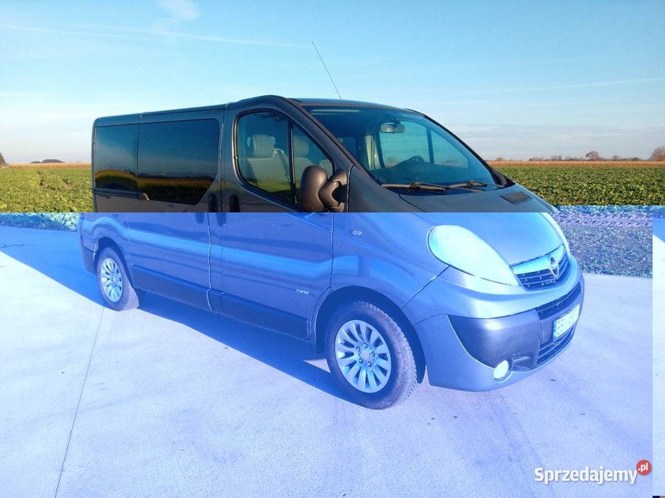 Vivaro 2010 9 osób trafic ładny kolor Budzyń