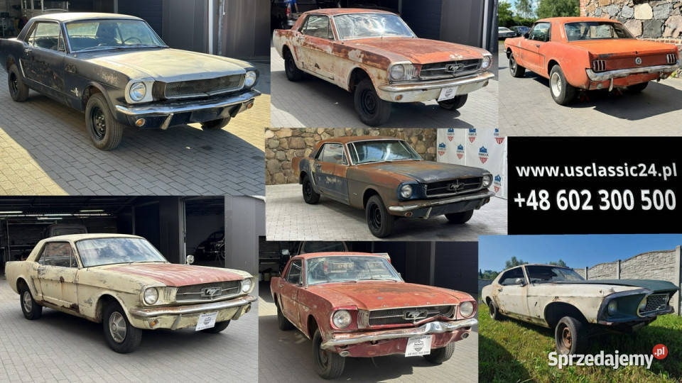 Ford Mustang Ford Mustang Coup 1965 110 Do Sulechów