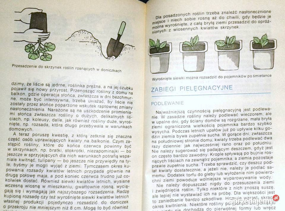 Balkon w kwiatach Anita PaszkiewiczTokarczyk Chełm