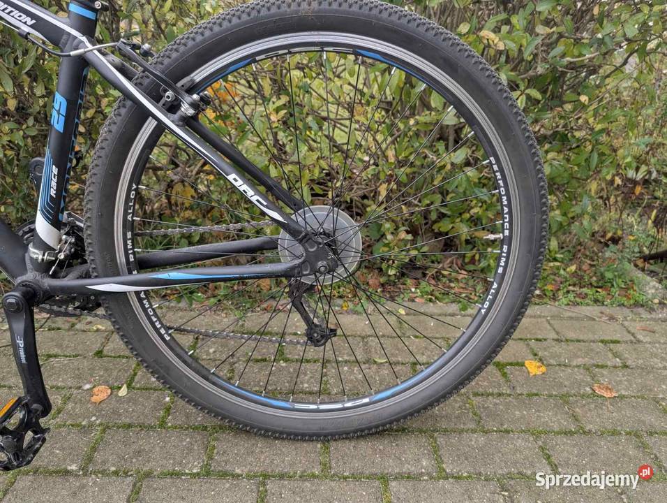 Rower mtb MONTERIA Zielona Góra