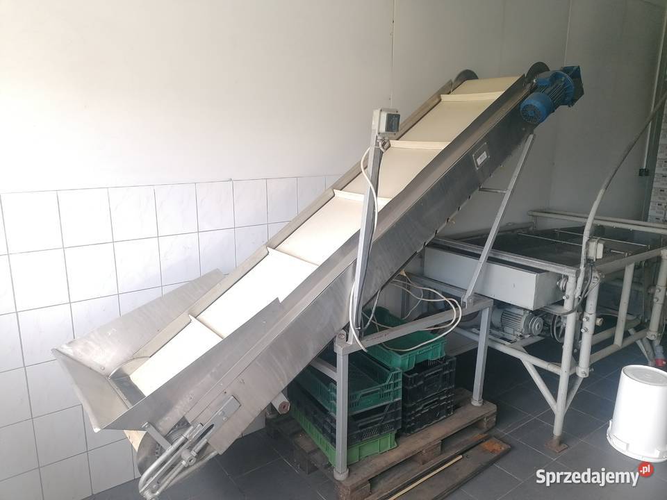 Przenośnik taśmowy transporter Biznes i Przemysł