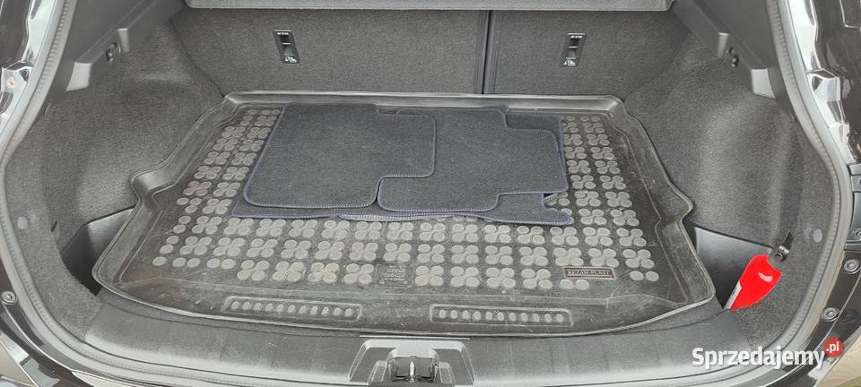 Navi kamery 360 Salon Serwis Radom