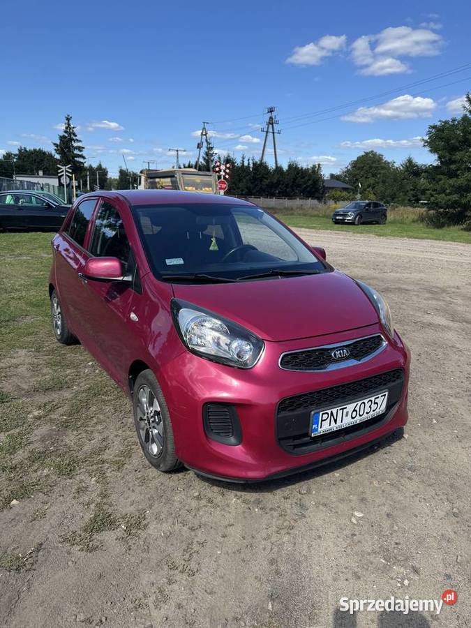 Kia Picanto 10 benzyna 66 2016 109 884 benzyna Zbąszyń