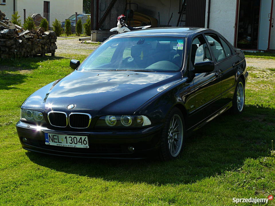 BMW 5 E39 530d Navi 169 manual warmińsko-mazurskie Ełk