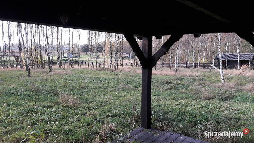 Działka Stare Gaje Sprzedaż